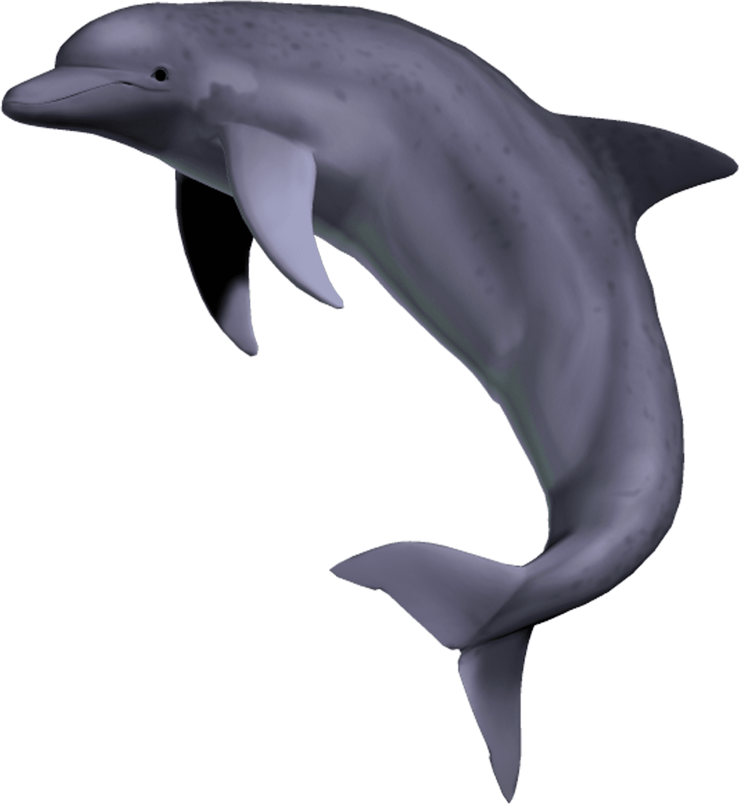 Mara_gespiegelt_klein Großer Delfin