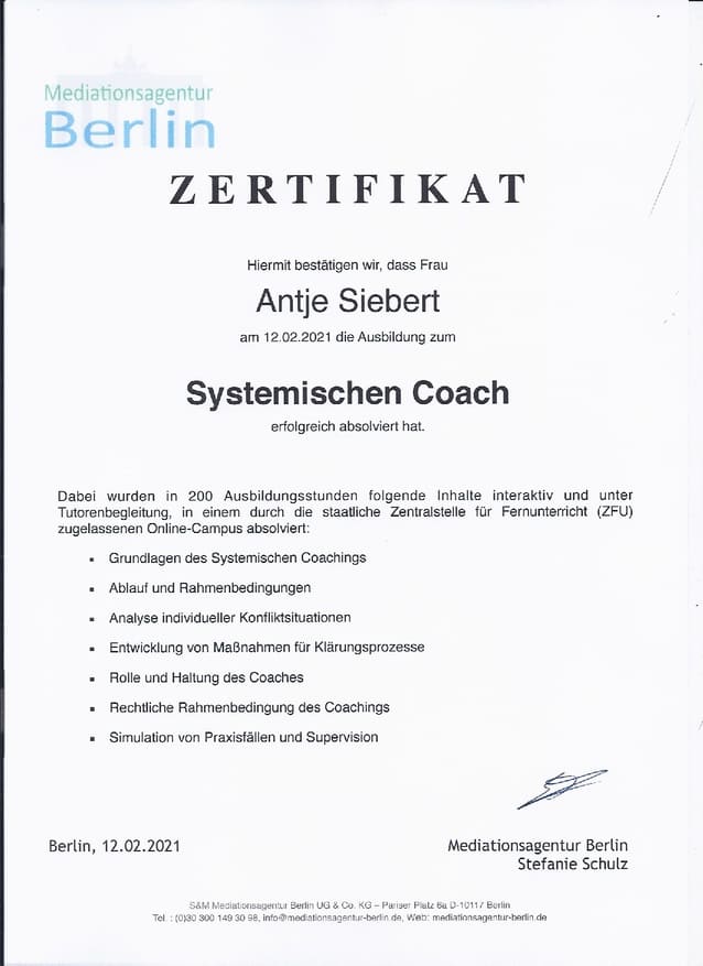 Zertifikat Systemischer Coach